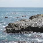 Tour_d_SoCal2_0029 (September 11, 2015)